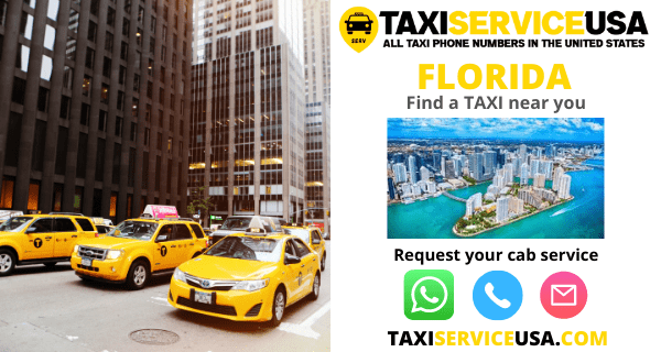 Taxi and cab services in Florida (FL)