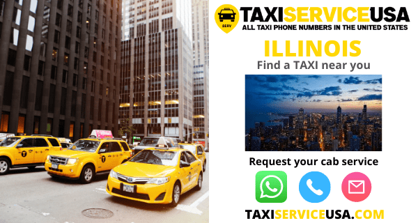 Taxi and Cab Services in Illinois (IL)