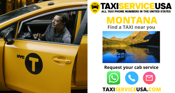 Taxi and cab services in Montana (MT)