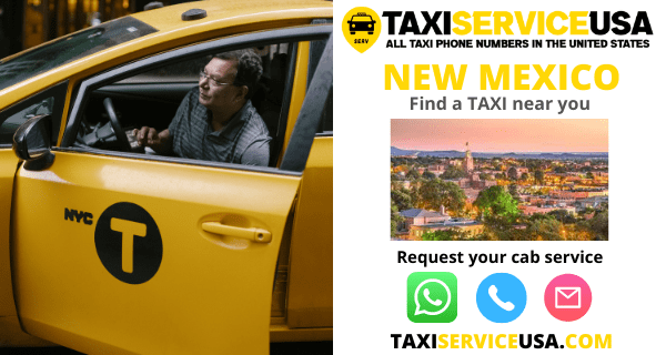 Taxi and Cab Services in New Mexico (NM)