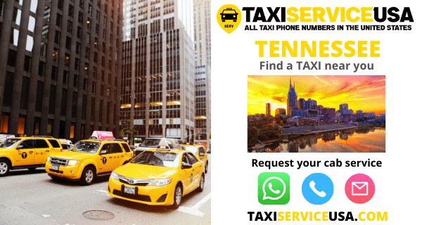 Taxi and Cab Services in Tennessee (TN)