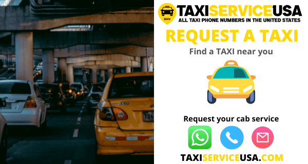 Taxi and Cab Services near me in Laredo, Texas (TX)